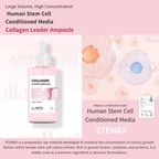 Dr. SANTE® Collagen Leader Ampoule – For dry skin, Firming & Revitalizing Korean Serum with Hydrolyzed Collagen, Peptides & Human Stem Cell Solution 100ml